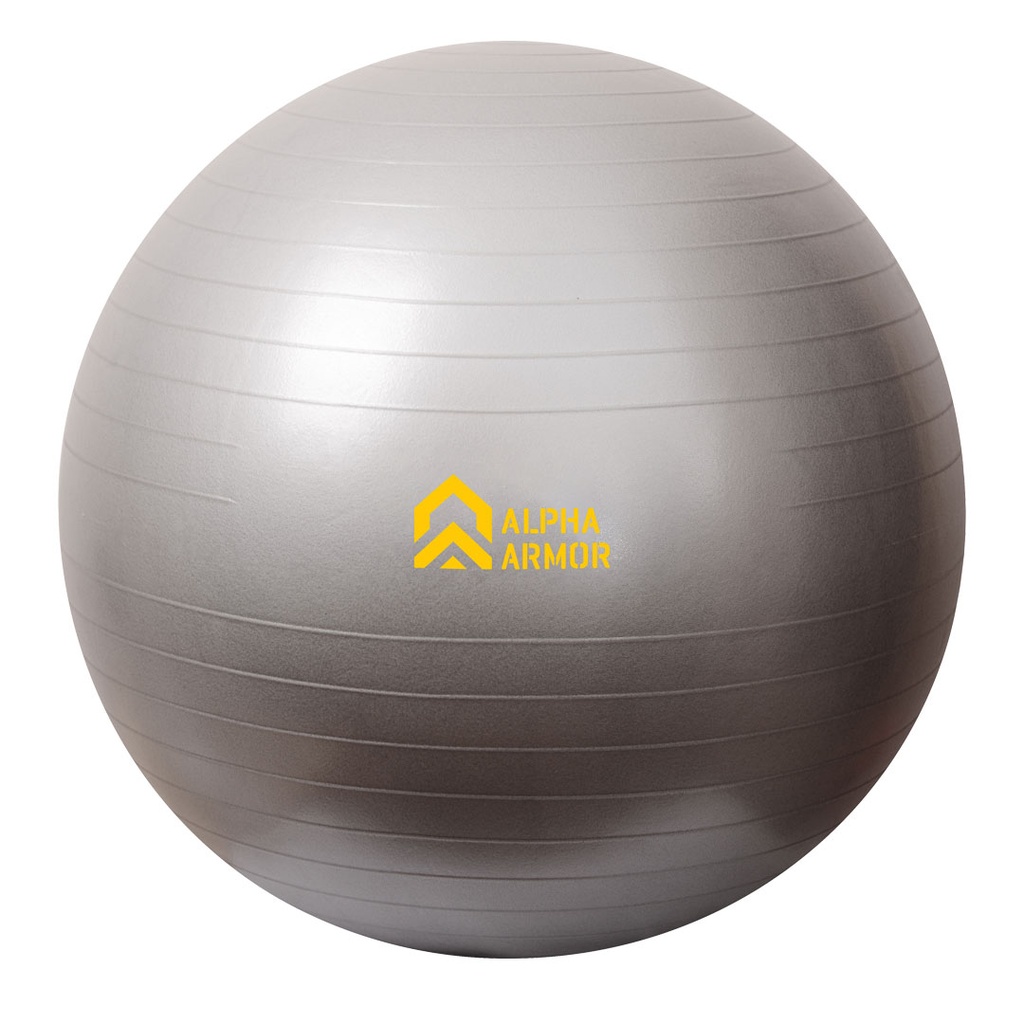PELOTA DE ESTABILIDAD 65CM ALPHA ARMOR®